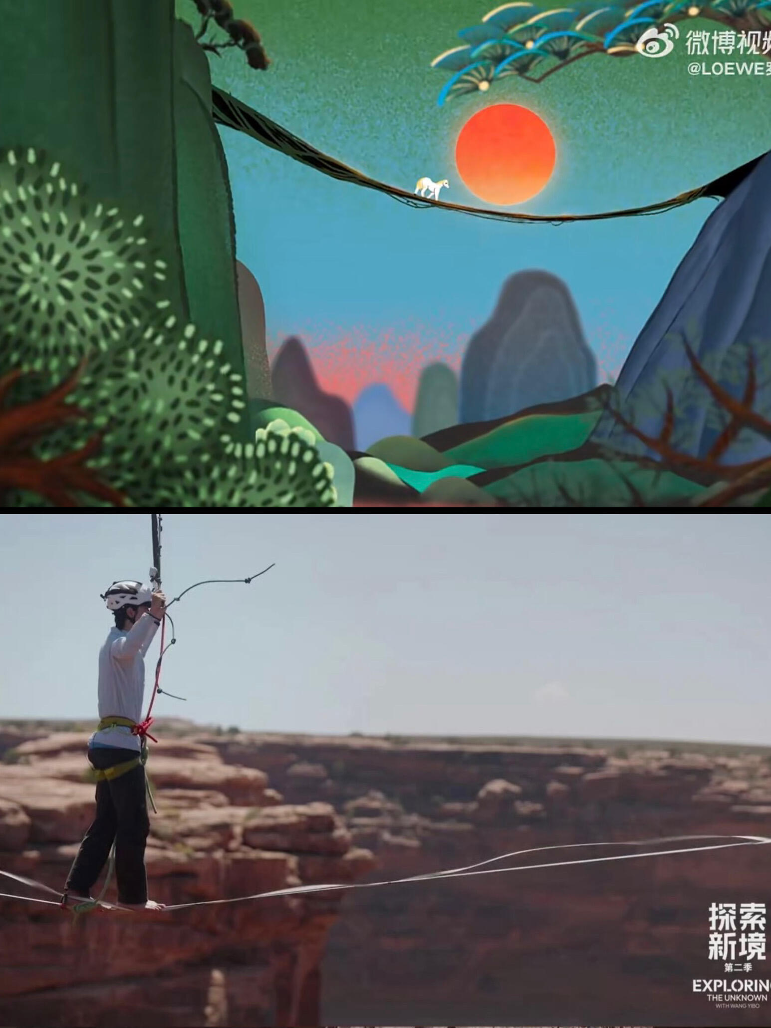 小白马听话走了王一博走过的路（高空扁带） 