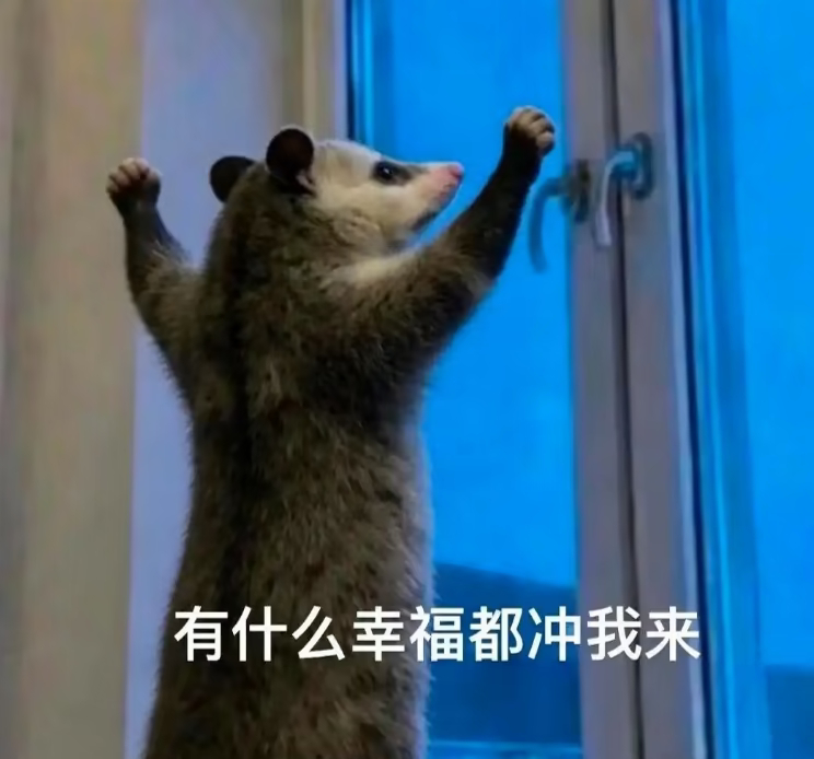 特意飞过来陪我哥哥过生日事已至此接一个大狼瑾瑾