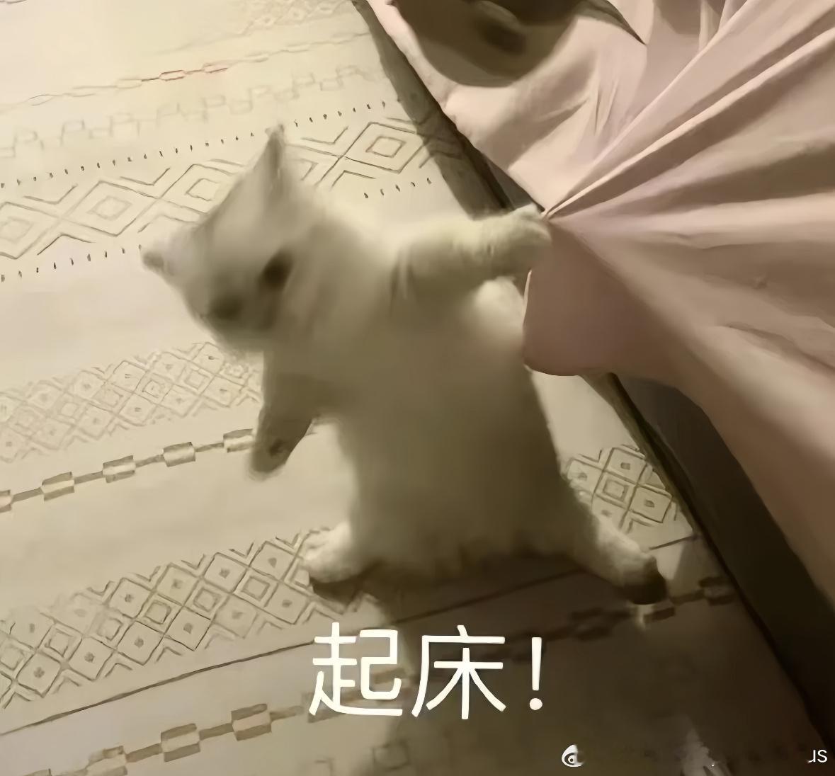 早上好～你最想加强哪个英雄呢～大电竞分享 ​​​