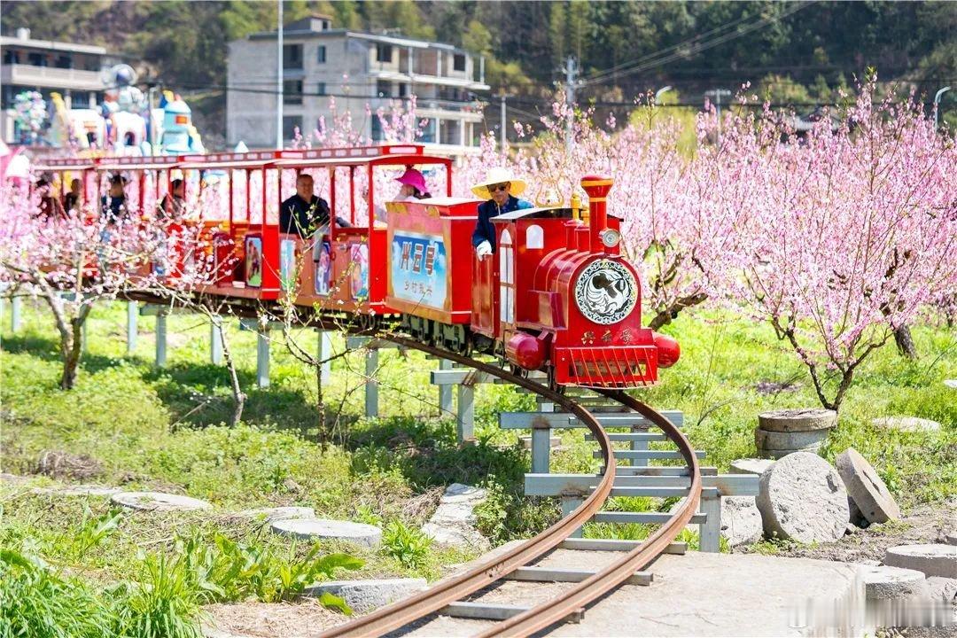 又逢三月春光，当一朵朵桃花悄然绽放，2024“畲乡桃花韵，山海共富路”云和新岭第