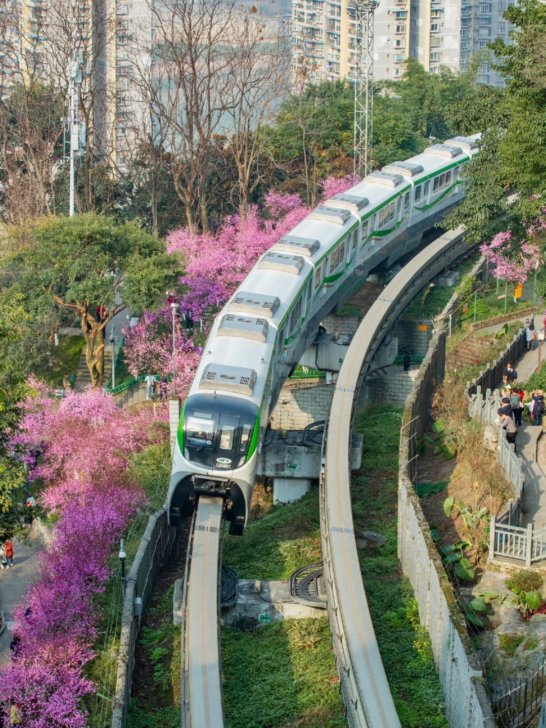 春日拍照📷开往春天的列车如期而至