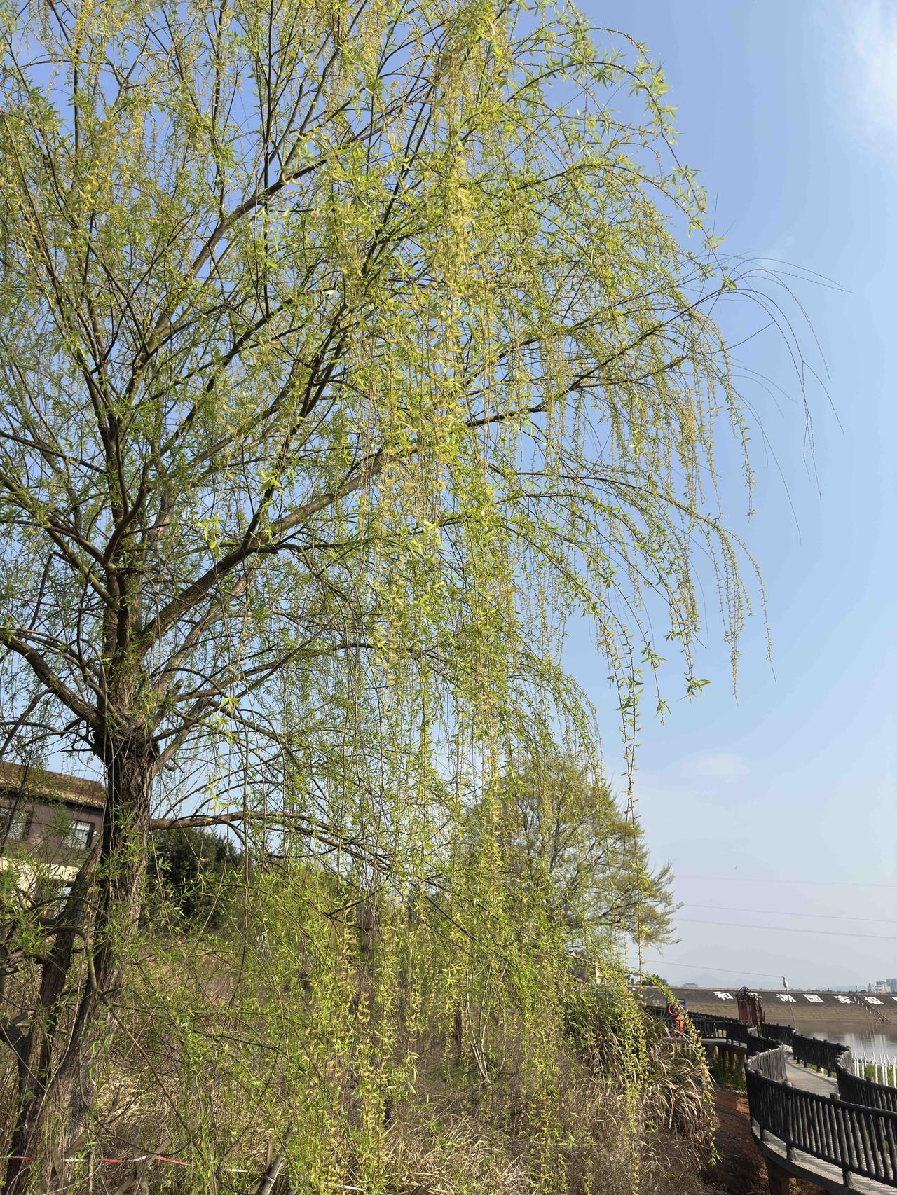 一波三折的银行储蓄卡里取钱，费了我一下午的时间！不过也知道了：从储蓄卡里取钱是有