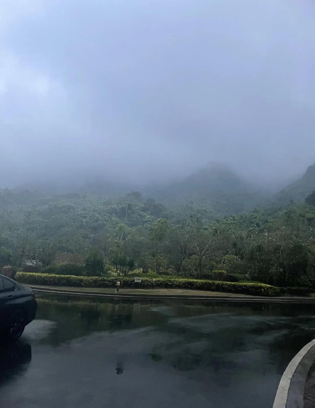 我再也不会去海边旅居了
去年脑子一热，跑去海边躺平
结果不仅没感受到自己在恢复能