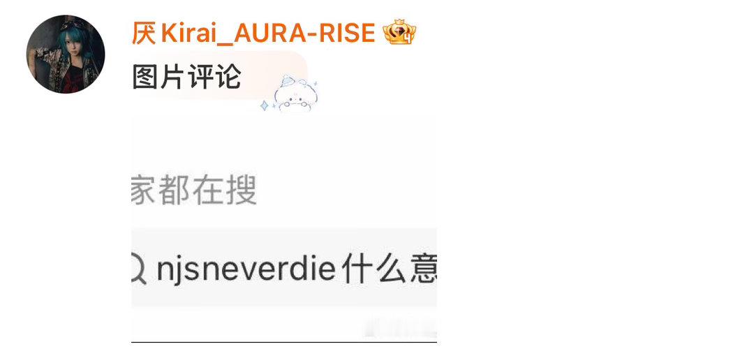 我看见这串字母又难绷了 乐得我特别想揍njs一顿 