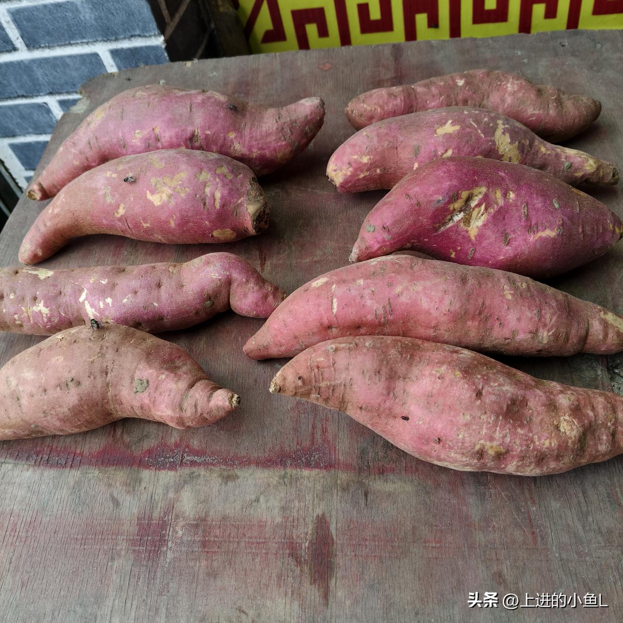 别人撞衣服，撞裤子，我居然撞红薯。小不点喜欢吃红薯，早上我去买肉红薯一元一斤便买