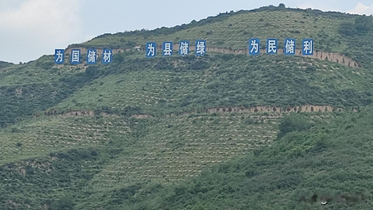 国家储备林建设新趋势与新方向国家储备林正从单一木材储备转向木材安全+生态安全+碳