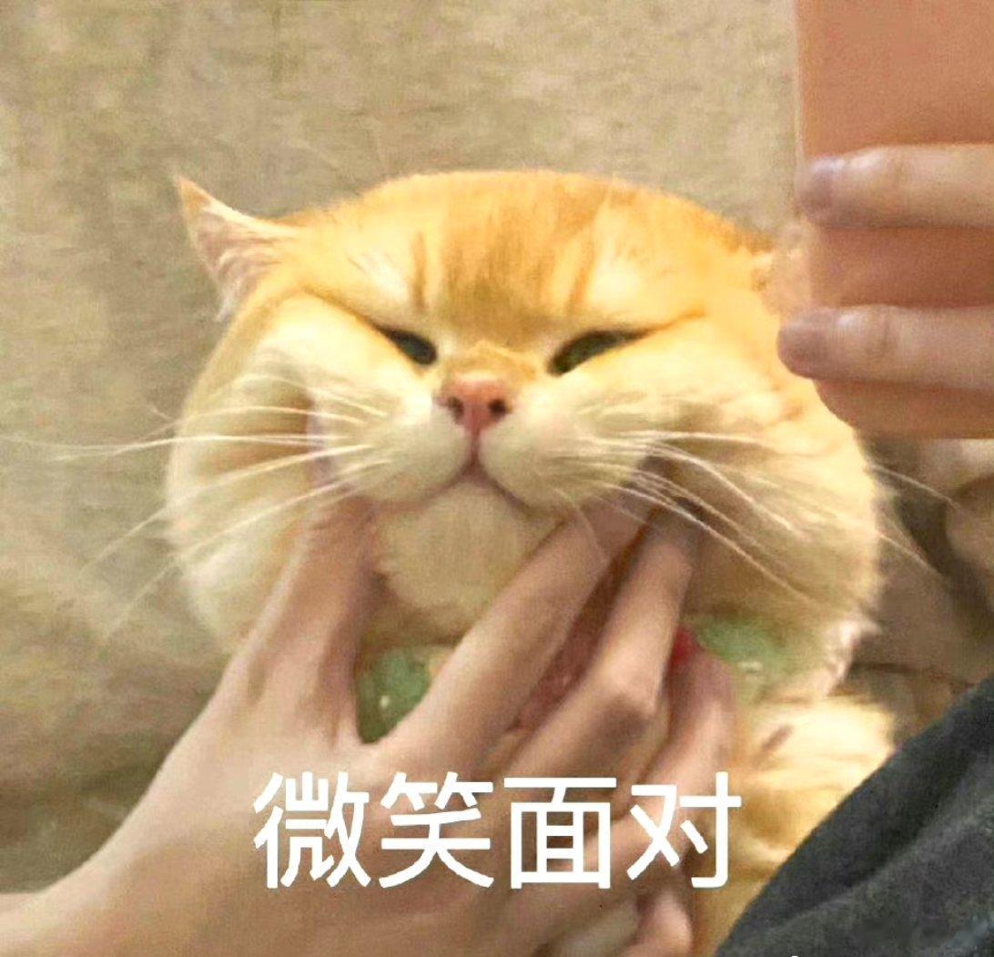 雾里看花，水中望月。有位佳人，在马赛克壁挡那边[笑cry][笑cry][笑cry