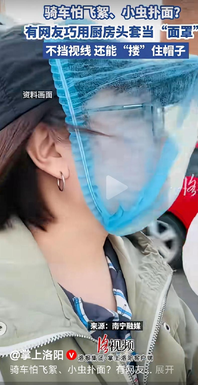 一要严厉追责引进这种树种的相关人员，倒查五十年。
二要逐步更换所有“污染”环境的