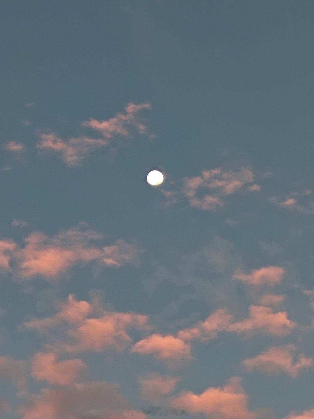《你身边那个既可怜又有控制欲的朋友，可能是顶级隐形npd。》早上醒来，不知道在想