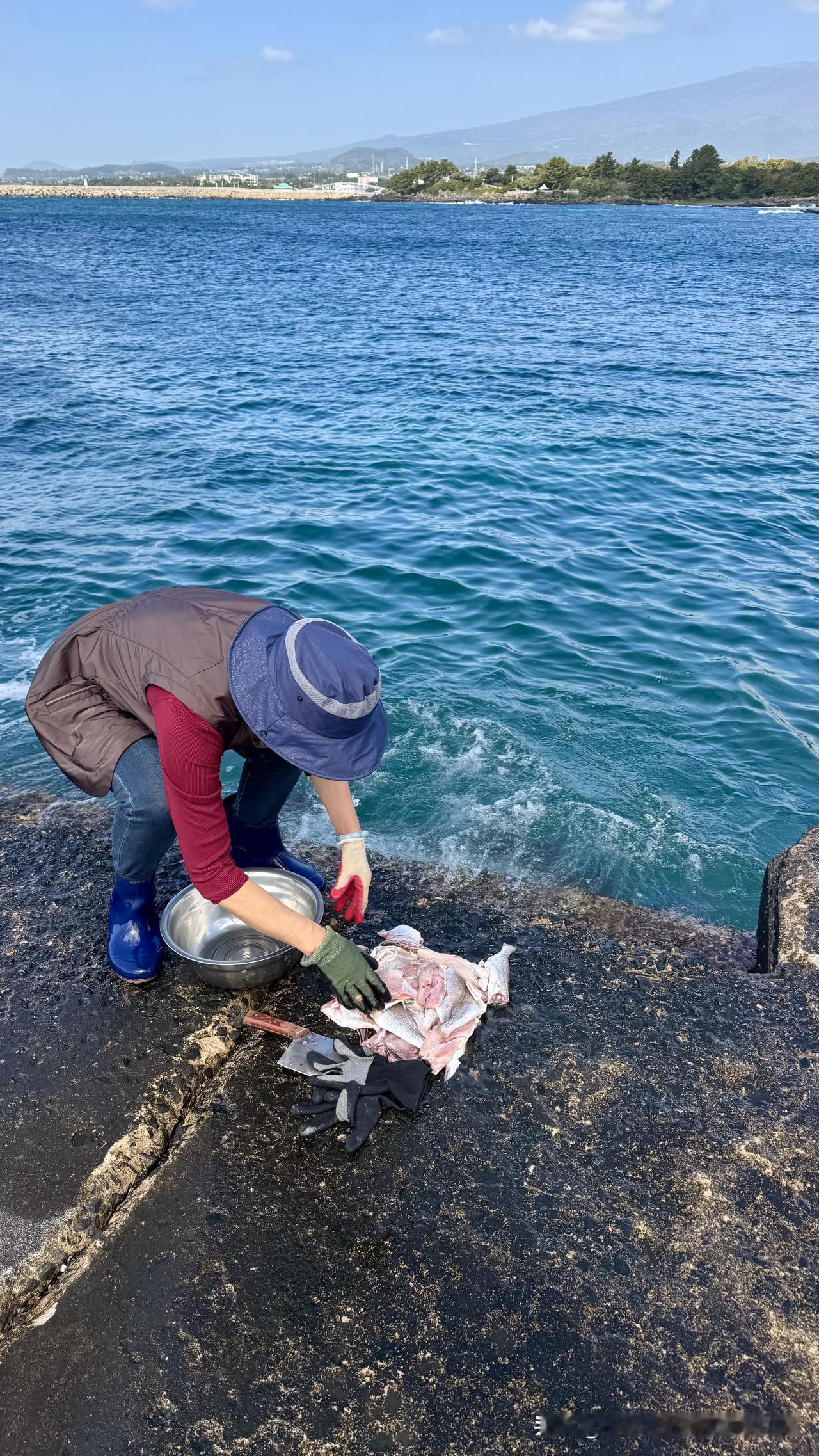 过完了南半球的夏天，我们开始了济州岛的春天。

西归浦东部有个渔村叫为美里村，这