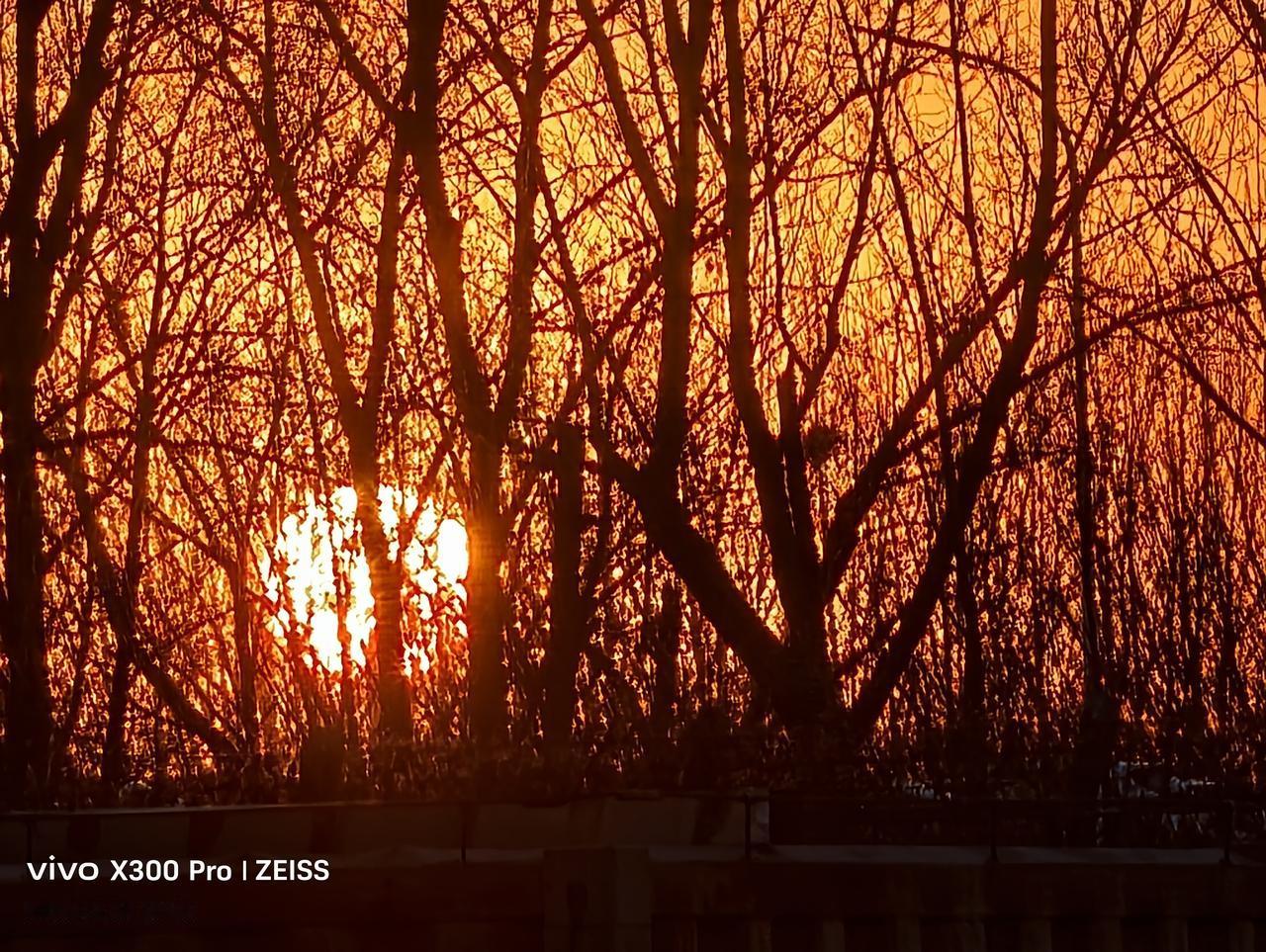 没什么想说的，就想让你看看。

世上没什么留恋 想说的事 无需要言语 言无戏言 