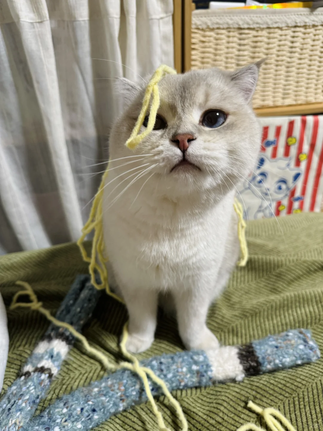 人，你在搞毛线！