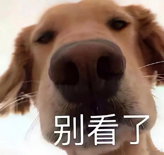 总觉得被人瞟手机是过度警惕吗 不用慌忙锁屏不用刻意遮挡，鸿蒙侧视模糊功能守护隐私