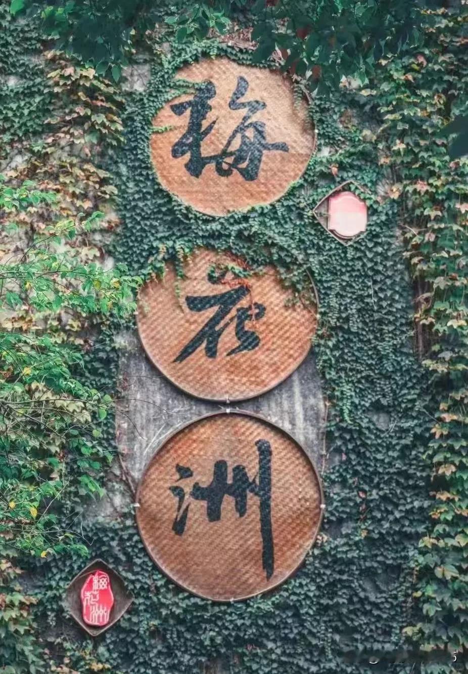 #秋日随记#