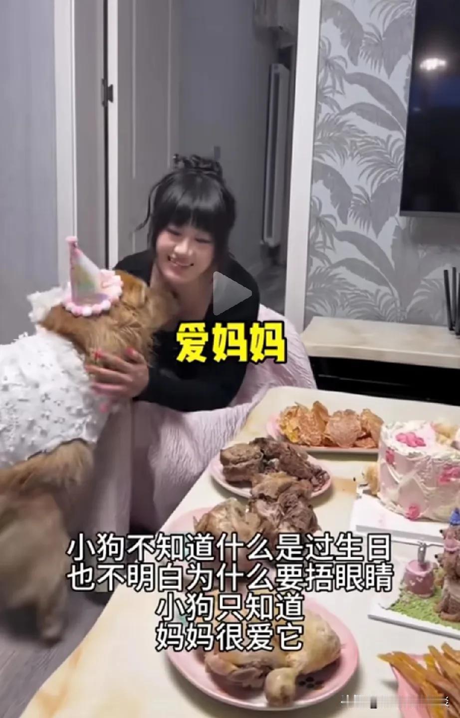 不得不说，现在狗狗过得真幸福啊，不仅穿人的衣服，还有妈妈在照顾他。过生日还给他准
