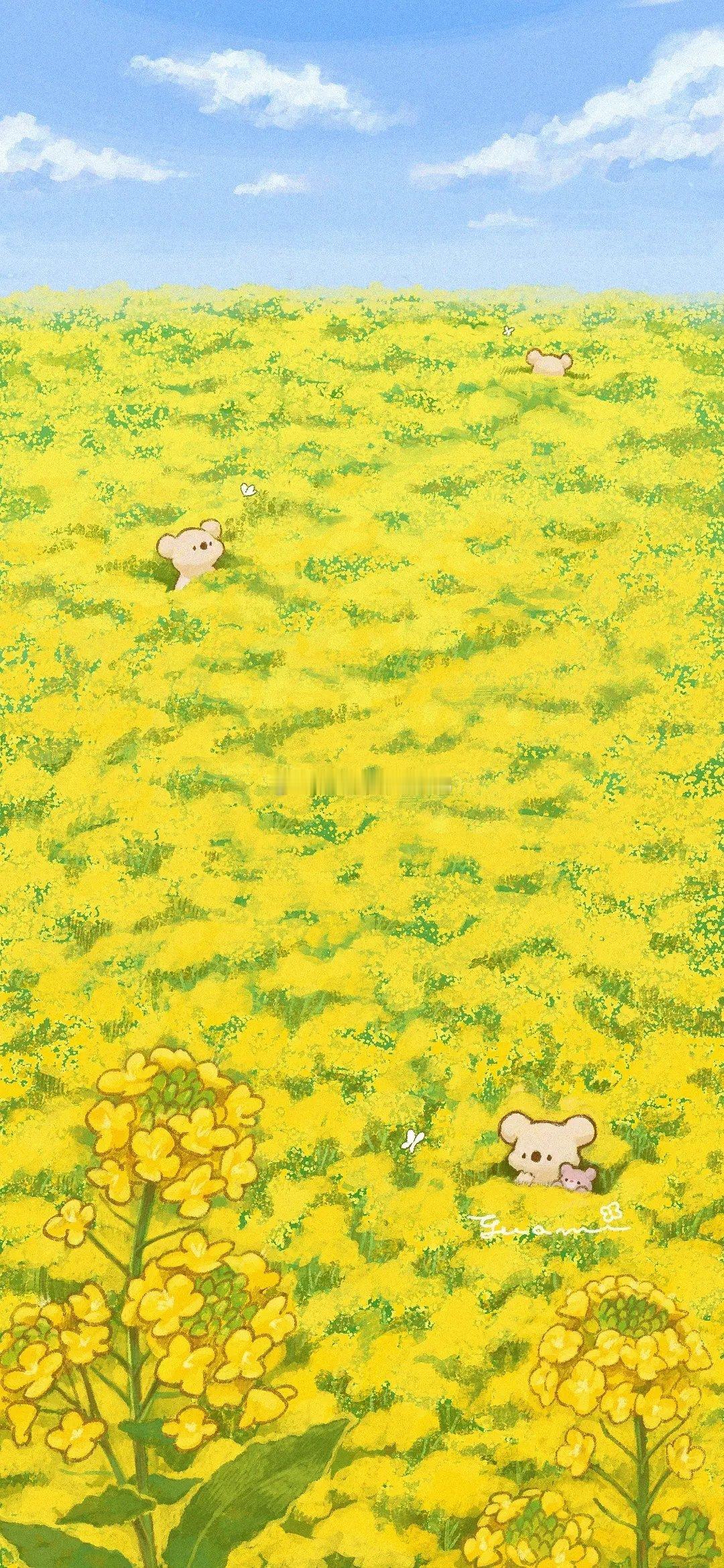 今日🈚投稿，大家早早早鸭～