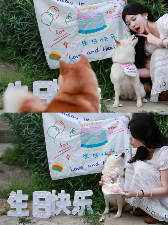 小狗狗过生日啦🎂奶油宝贝3岁快乐~