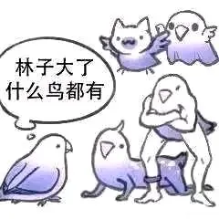 林子大了什么鸟都有哈哈哈搞笑图片梗图合集
