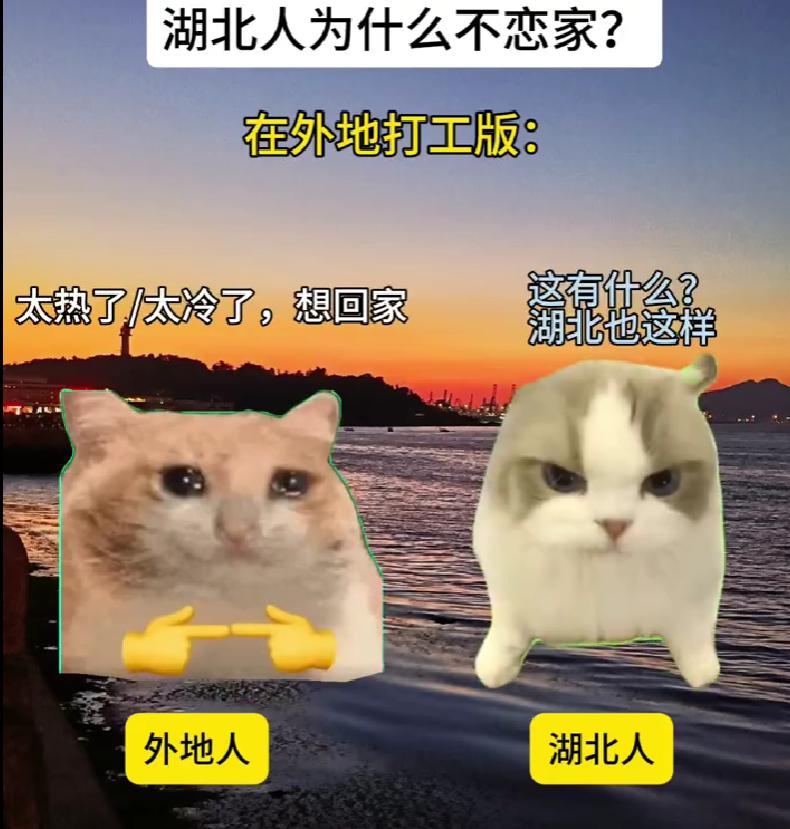 在外打拼的湖北人能有多吃苦？湖北人 VS 外地人，差距一眼看出
在外打拼的人都不