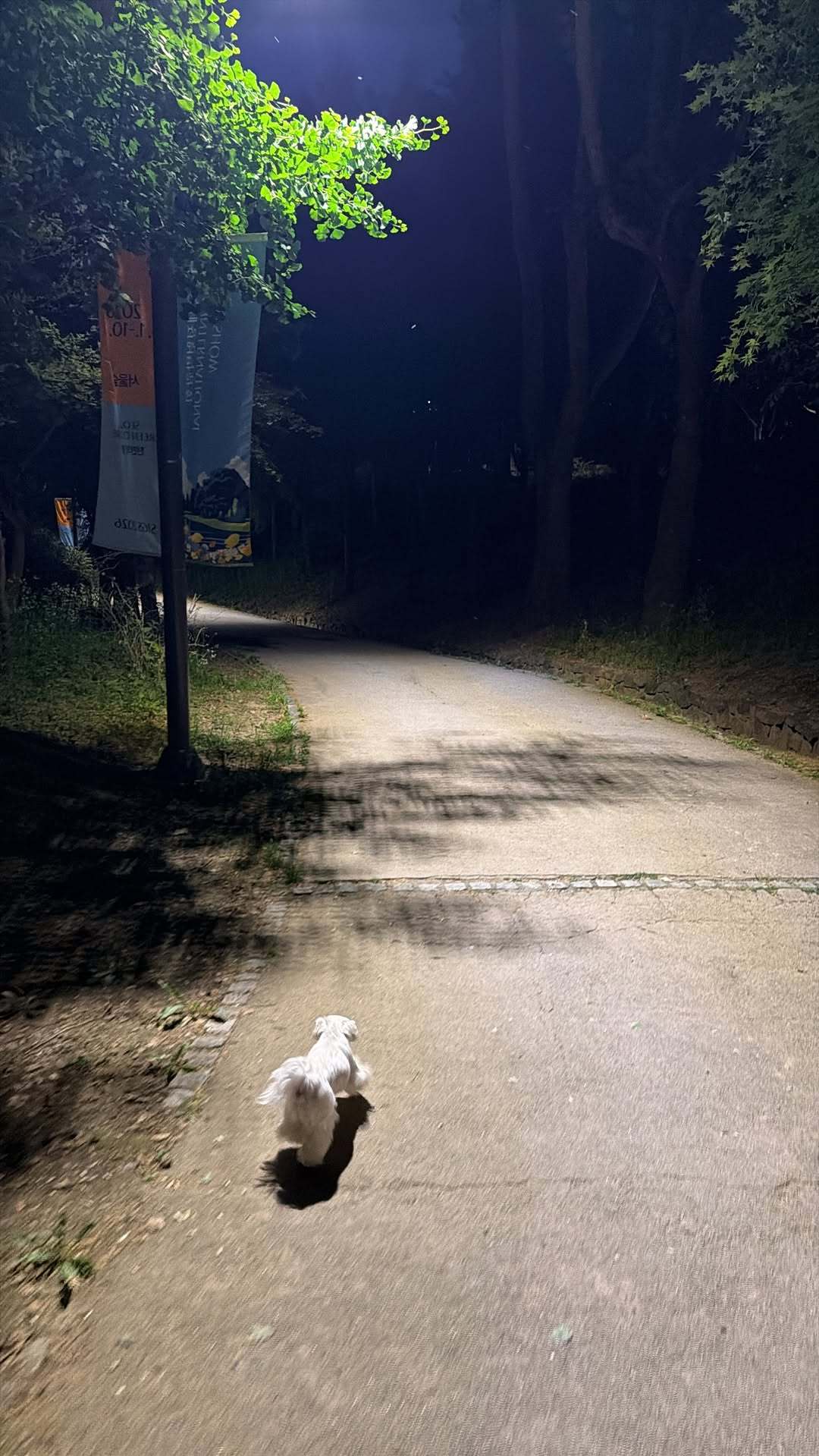 “CB百蓝_。260608利特 ins story更新： 