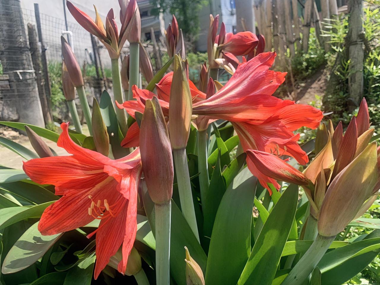 冯唐说：
“如果我是女人，我要这样活着。女性要是有了风骨，那便是天生尤物。"
