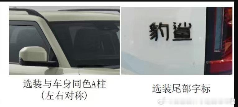 方程豹 鲨鱼 可选车标 “爆杀！”这情绪价值拉满了！小熊太懂大伙儿了。大家猜猜这
