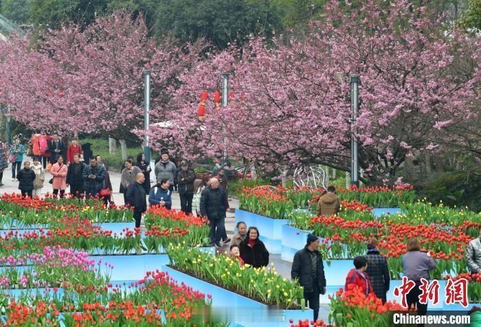 #重庆公园里的春天#山城春来早，无处不飞花。重庆市城市管理局发布了《2024年重