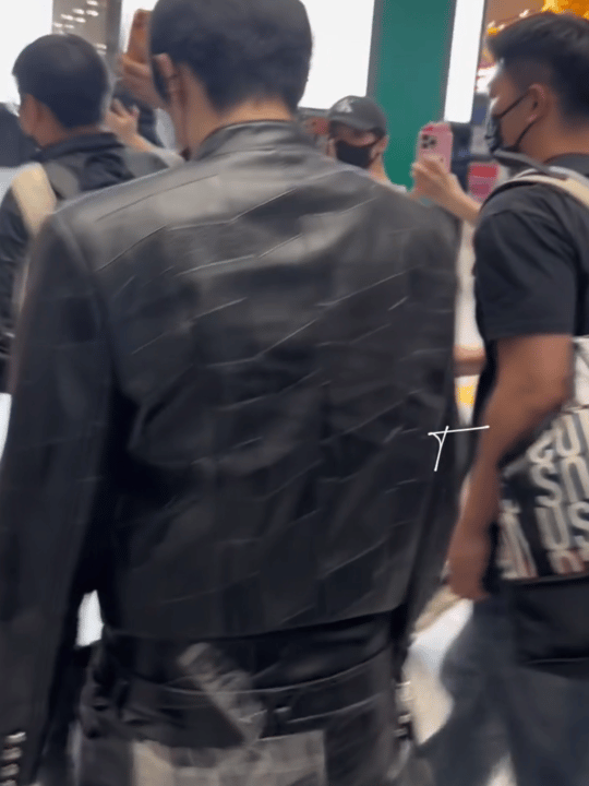 连续剧来的 至此 口罩袋子事件 在可怜的咪子随时伸爪检查中完美落幕……啊咪这嘎嘎