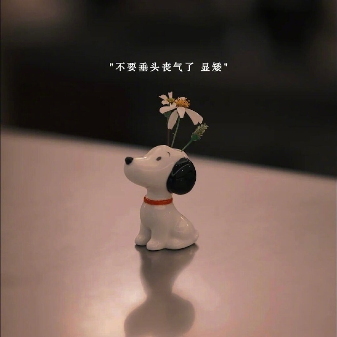 🌄˖°  𝕙𝕒𝕡𝕡𝕪 🍃 ⑉    时间可以浪费在喜欢的事情上。 