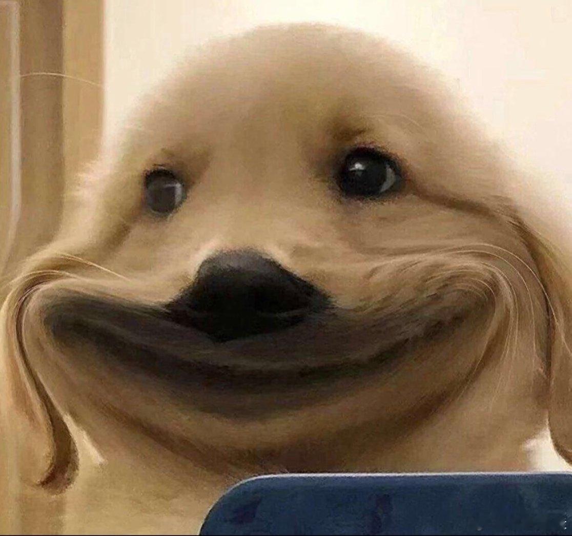 手机 涨价大家都在讨论手机涨价的事，因为AI算力存储导致内存涨价了，我去年年底买