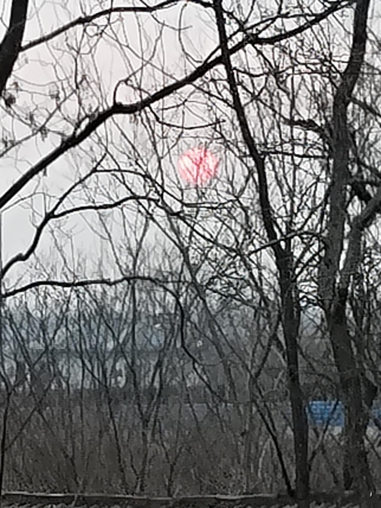 冬日暖阳，像一幅水墨画