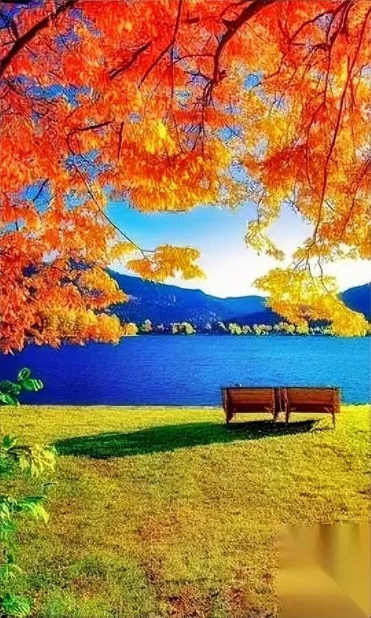 我爸昨天发我条消息

就三行字，我盯着屏幕红了眼。

他说：“儿子，爸没本事，让