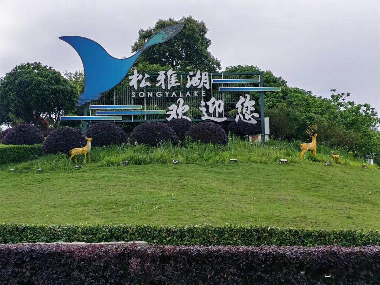 昨天下午三点我一家三口出发去松雅湖玩，我们乘坐地铁花了一个小时，到地铁站走路又花