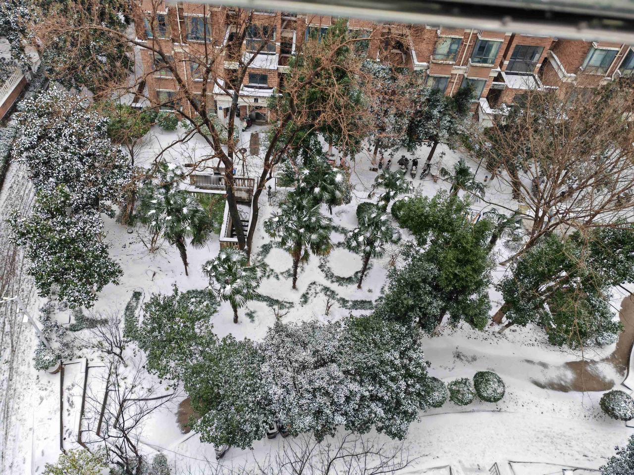 我的今日状态：😁轻松愉快
我这里的天气：❄️下雪