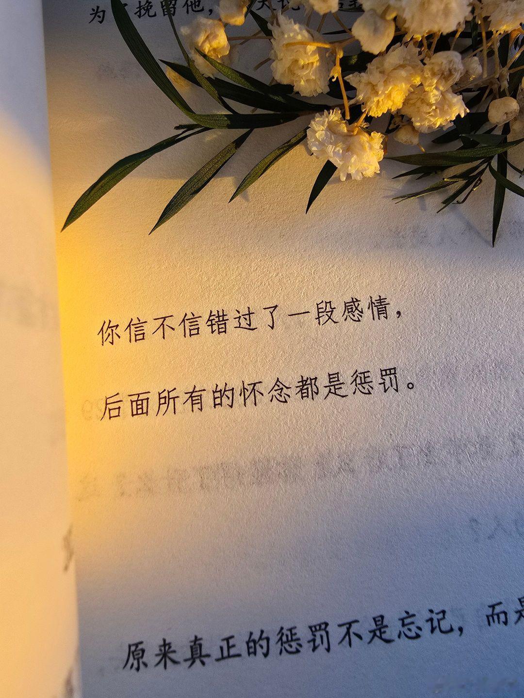 这句话，只有真的爱过又错过的人才懂💔 你信不信？错过了一段感情，后面所有的怀念