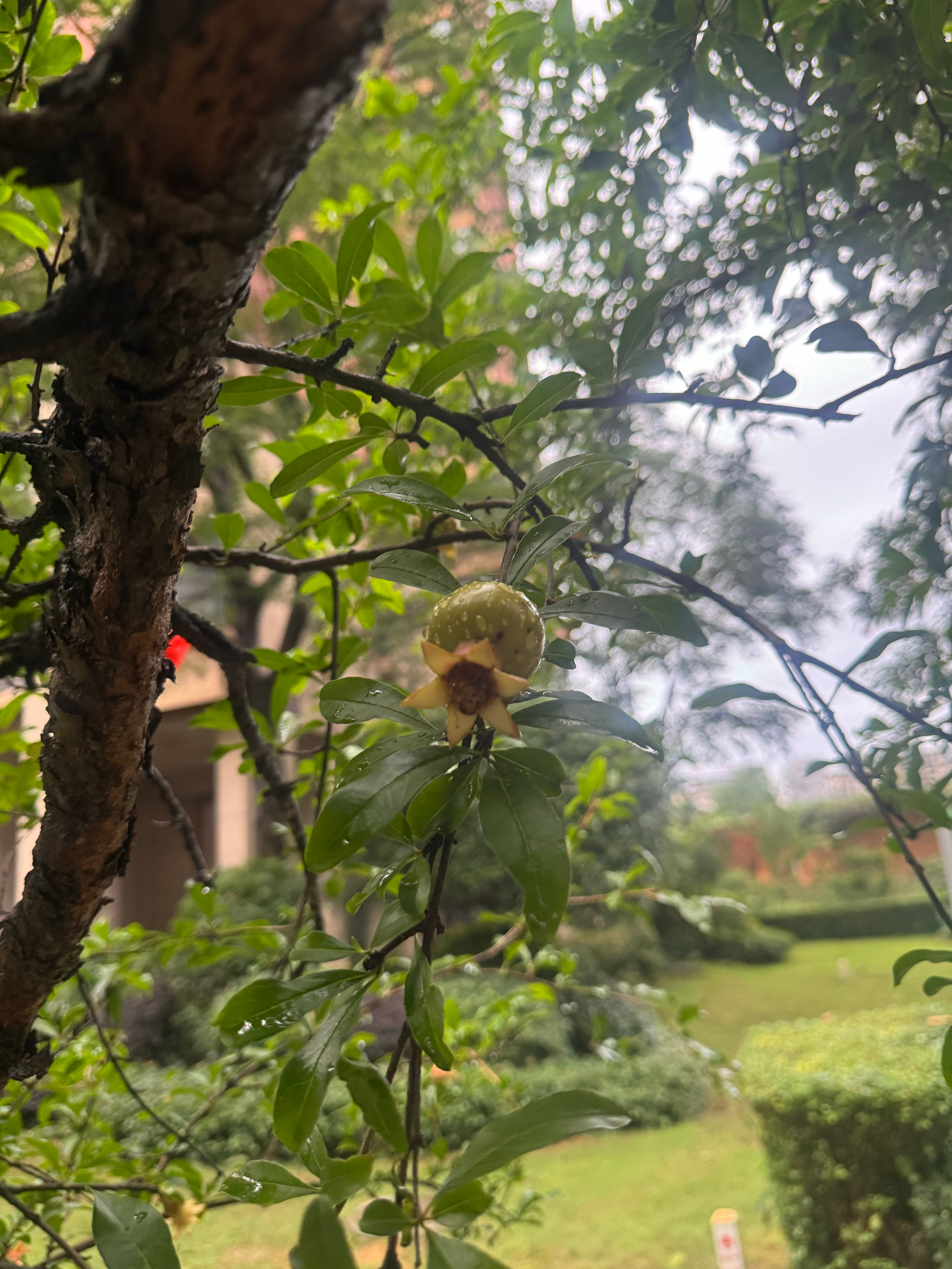 阳光信用[超话]🌸每日一善🌸阳光信用人之初，性本善。 上善若水，大爱无疆。 