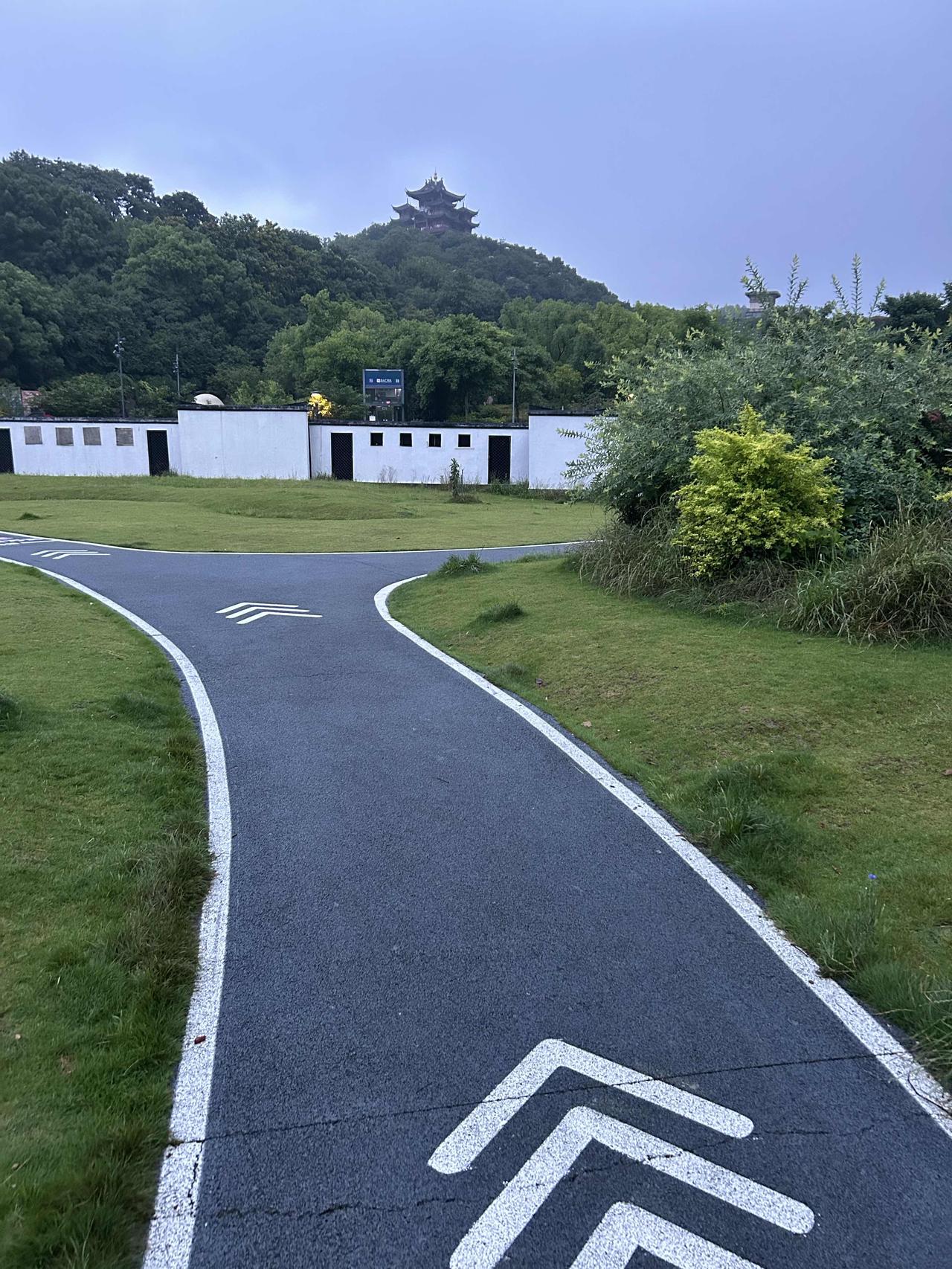 清晨迎着微风出门散步，街边的绿树长得郁郁葱葱。买了早点，慢慢走回家。