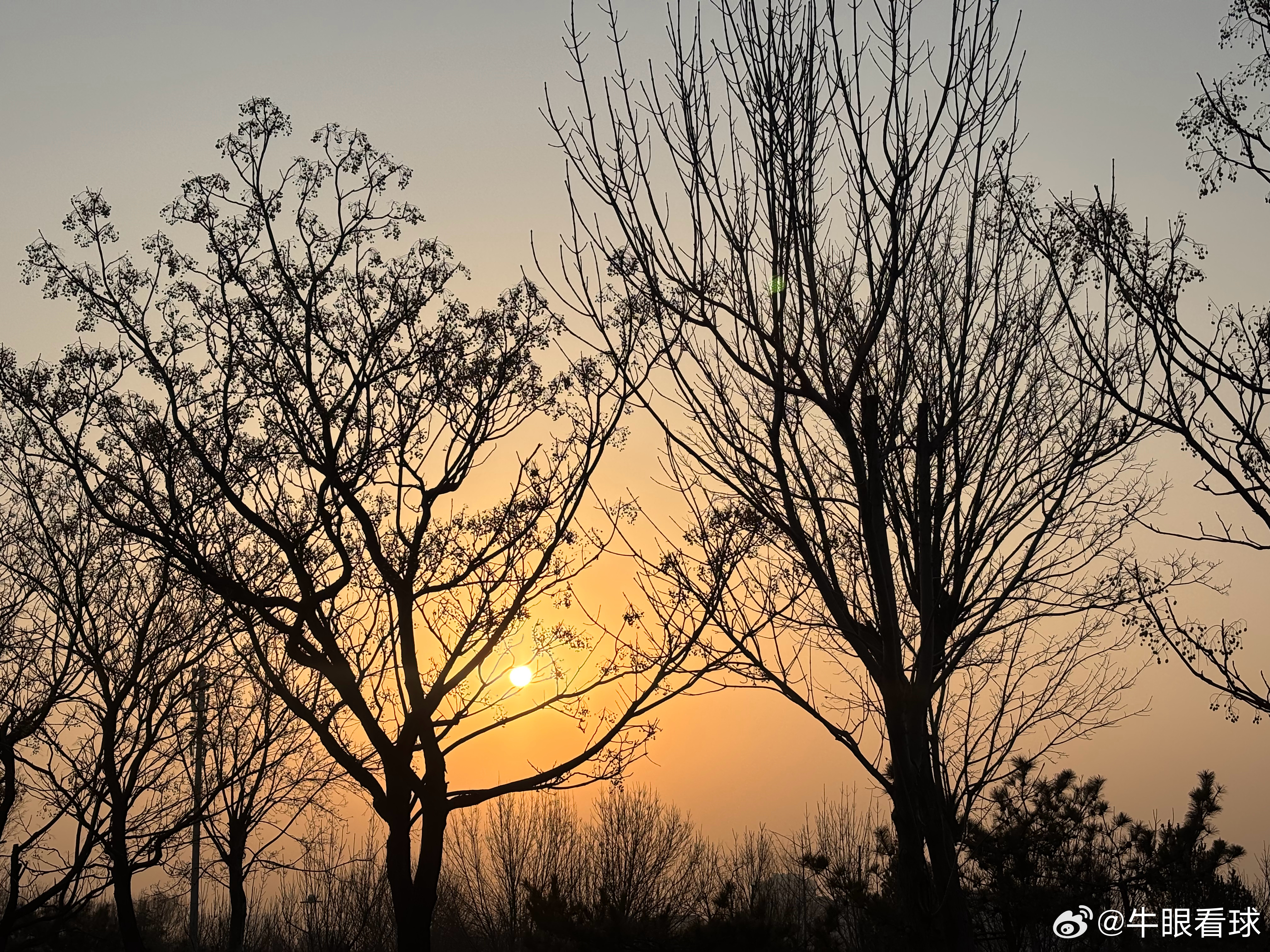 迎着朝阳出发，连续两天因为足球到市政府，也是好起来了。 