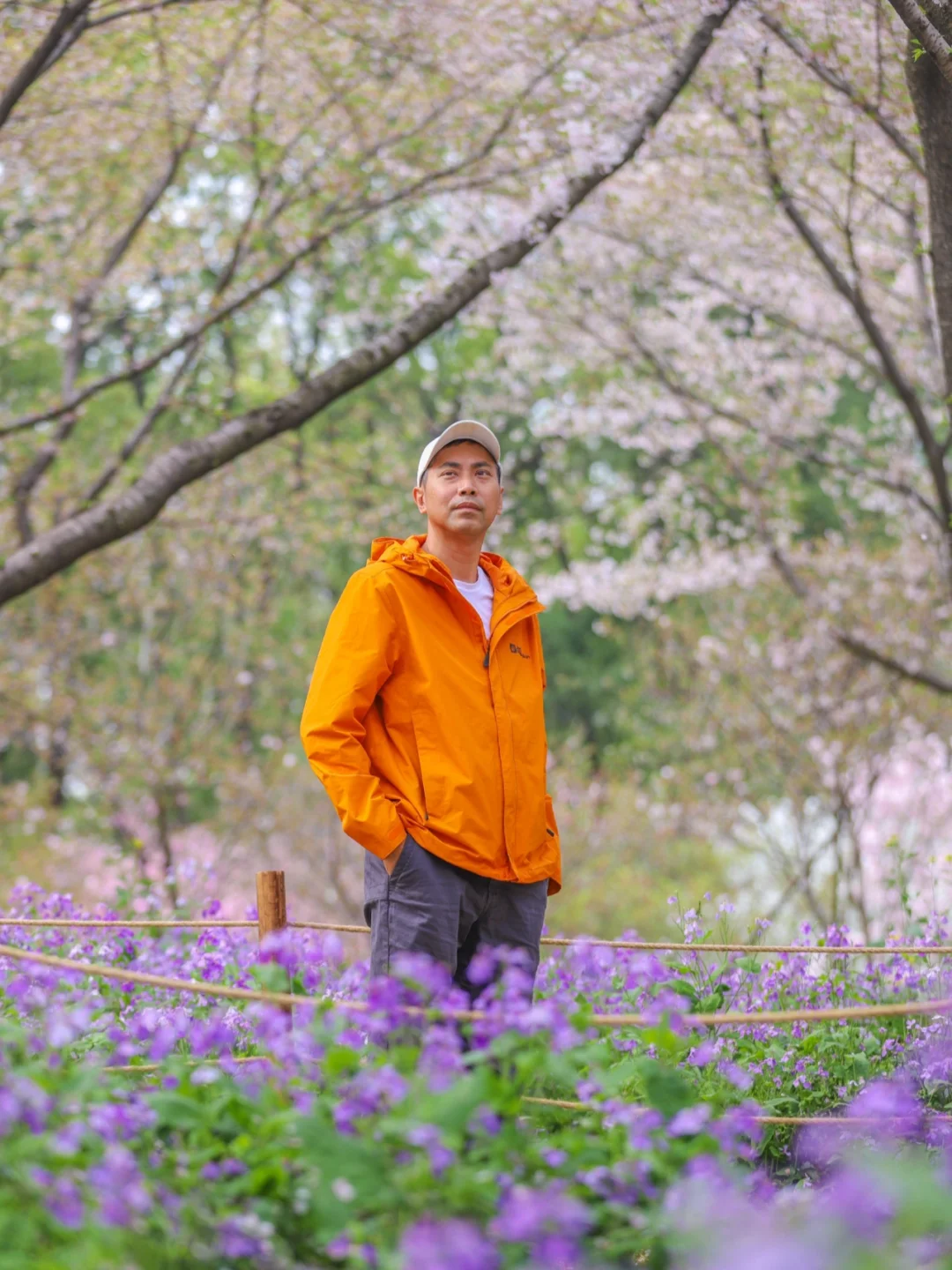 春天必打卡的赏花胜地，武汉东湖樱花园，盛花期樱花太好看了