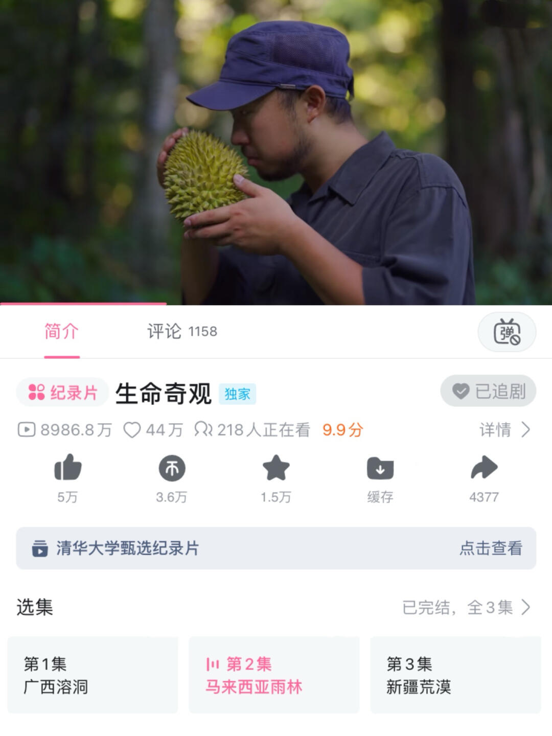 我去😭这片子马上满分了❗️❗️❗️