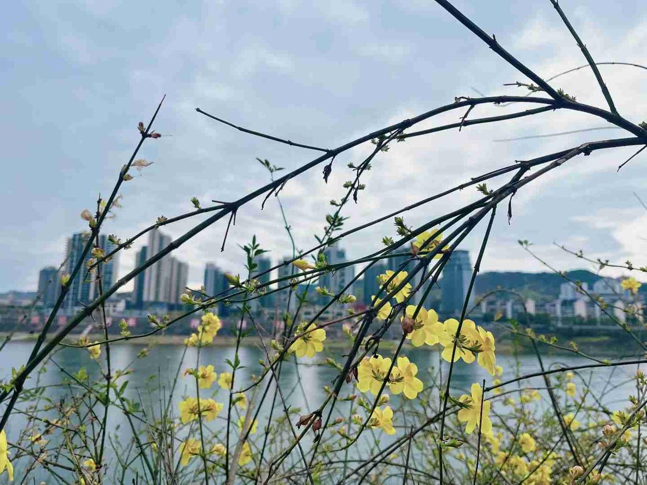 我的今日状态：😁轻松愉快
我这里的天气：🌧下雨