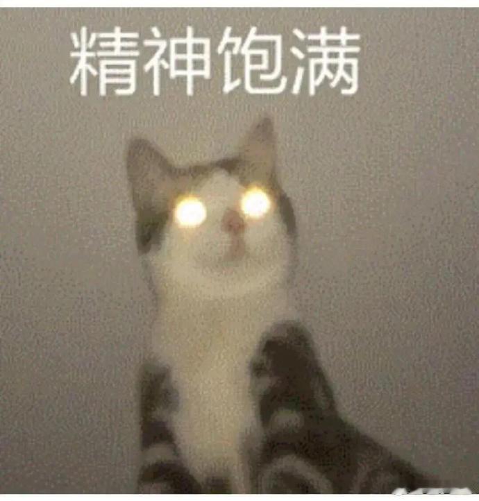 别再只夸湖南人能吃辣！新田人种三味辣椒才叫绝——用田螺当育秧“小温室”，移栽时还