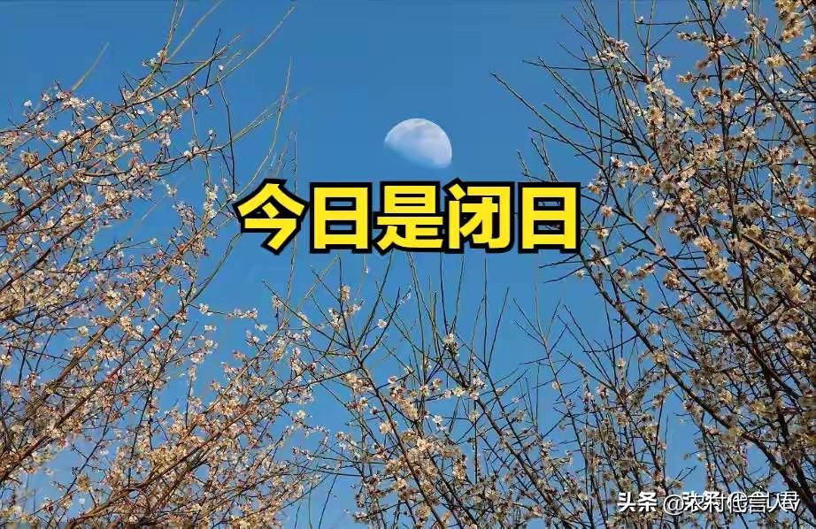 今日农历四月十四是闭日，牢记：1不动，2不争，3不出，4不借
 
今天是农历四月