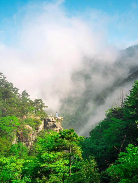 为了这几张图，我特地飞了次庐山！