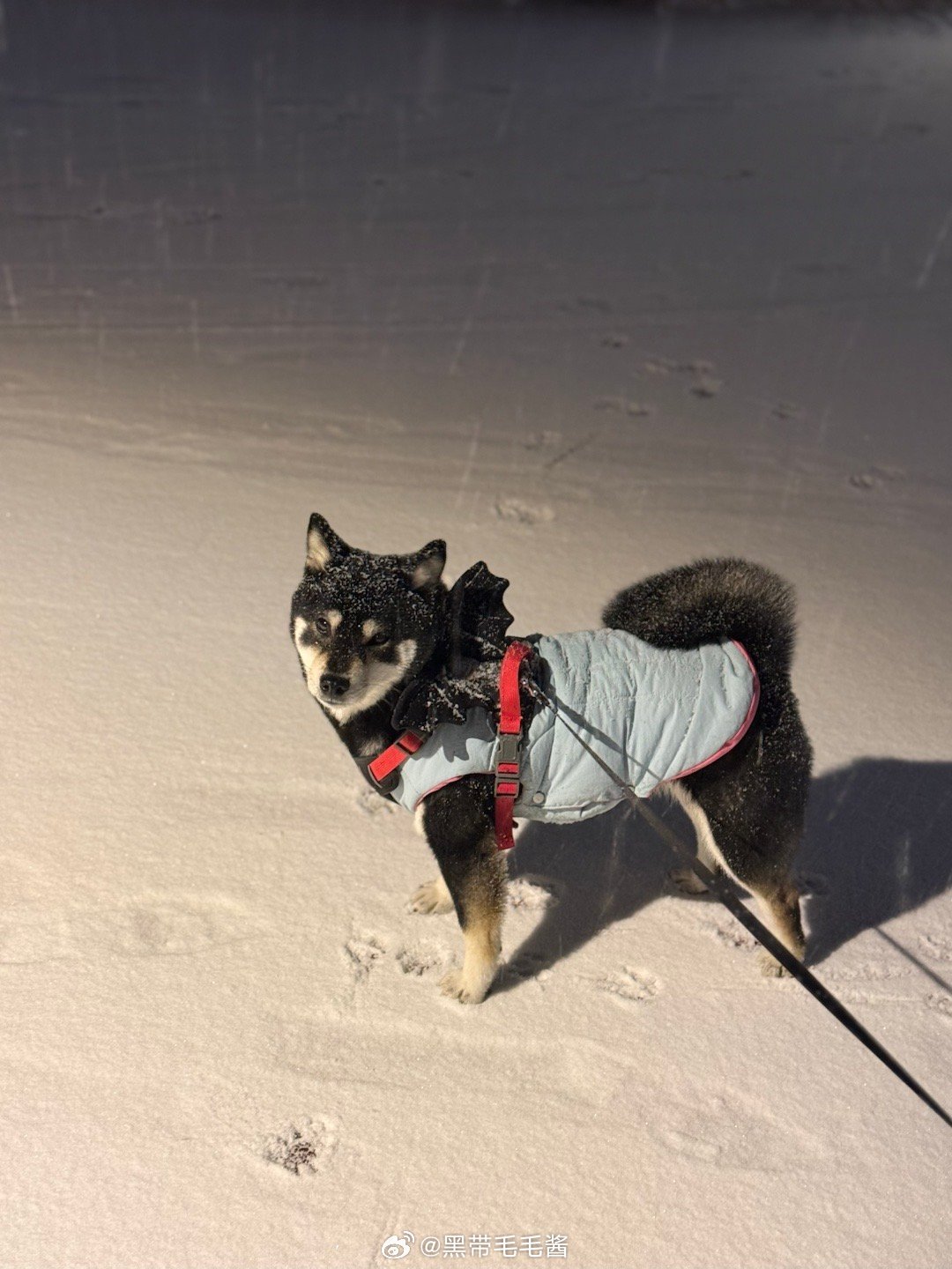 最近在看轧戏好看 