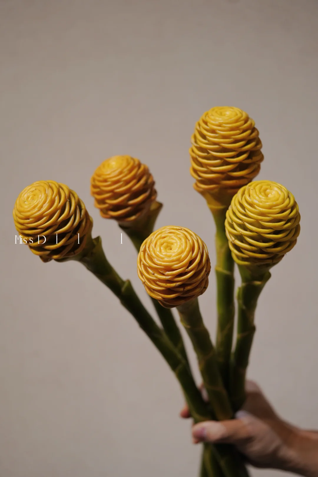 世界上长得最像卡通世界的蜂蜜棒的花！