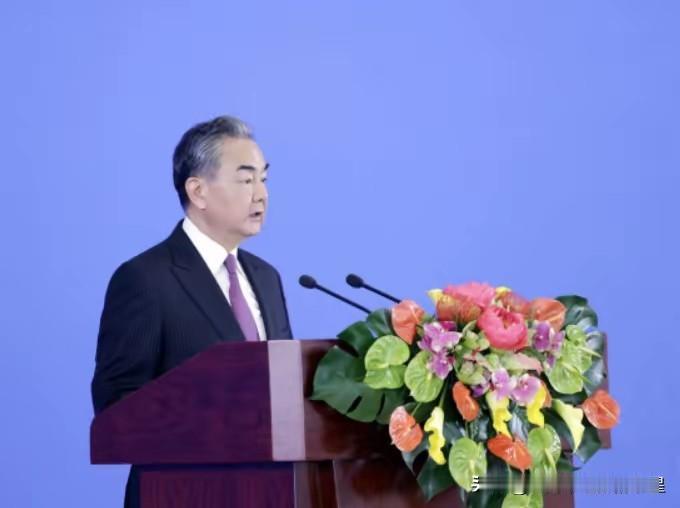 既然不愿一国两制，那就满足 “台独” 分子，王毅外长今年明确表示，今后再没中国台