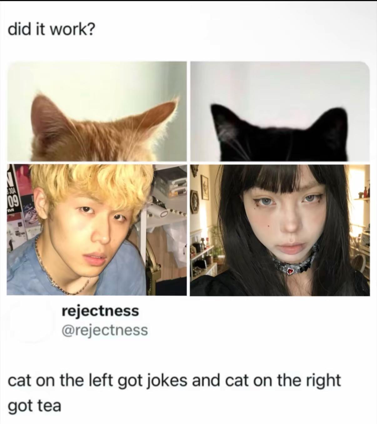 ᶻz₍ ^_   ̫ _^₎♡。两小只fyp