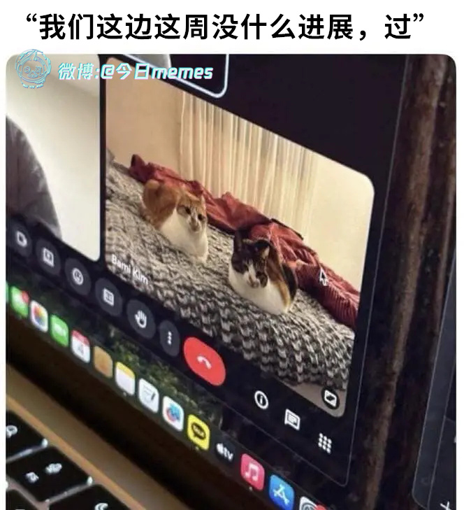 团队（9gag）今日meme今日memes