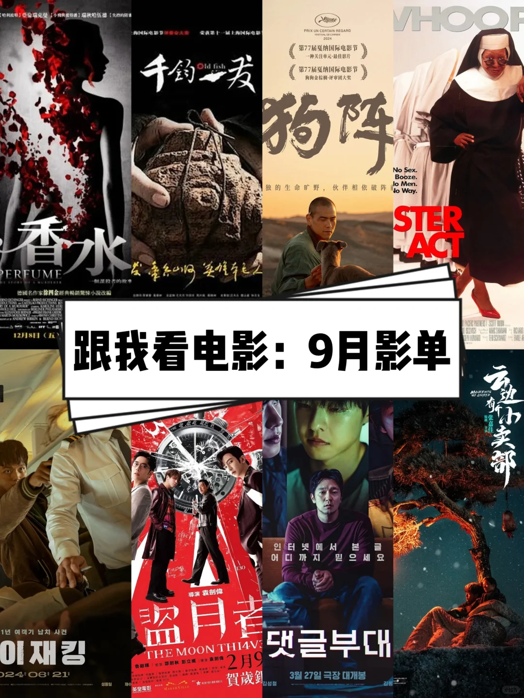 👀跟我一起看电影：2024年9月影单🎬